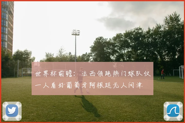 世界杯前瞻：法西领跑热门球队仅一人看好葡萄牙阿根廷无人问津